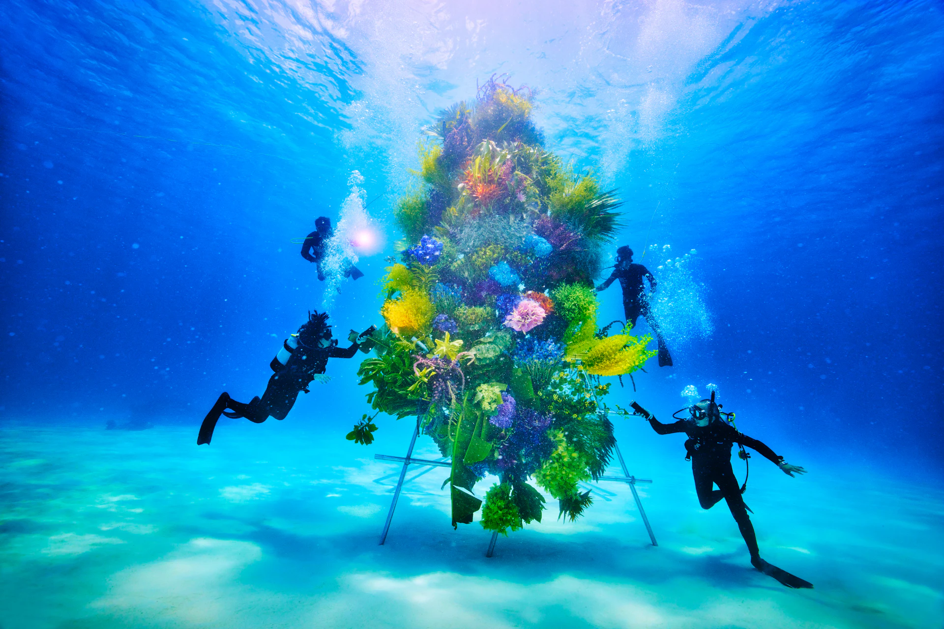 2011 NATURE AQUARIUM PARTY ピンバッジ Botanical Sculpture × In Bloom project - Sea #2 | AMKK（東信